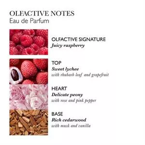 Molton Brown Delicious Rhubarb & Rose Eau de Parfum 100ml